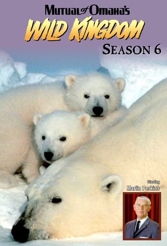 Portrait for Mutual of Omaha's Wild Kingdom - Season 6