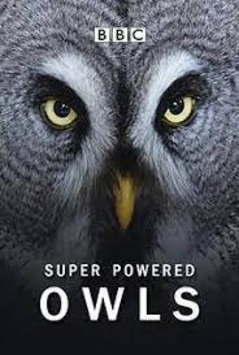 Poster of Super Powered Owls