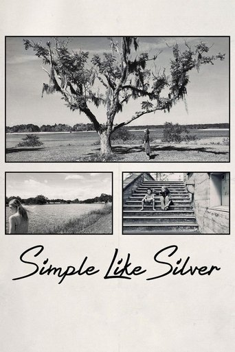 Poster of Simple Like Silver