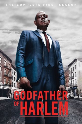Portrait for Godfather of Harlem - Season 1
