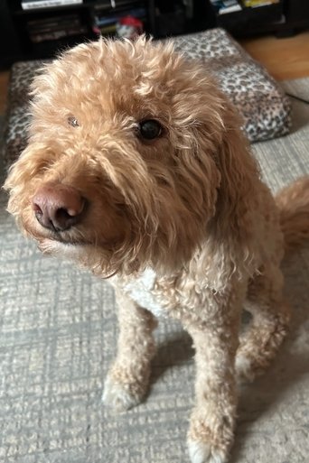 Portrait of Esme