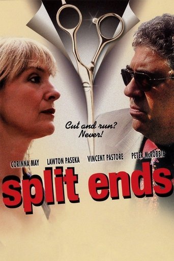 Poster of Split Ends