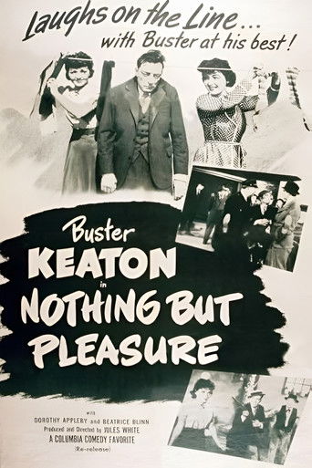 Poster of Nothing But Pleasure