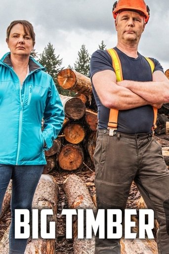 Poster of Big Timber