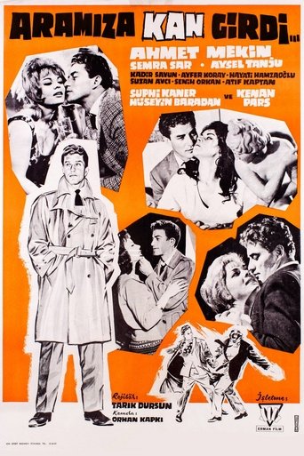 Poster of Aramıza Kan Girdi