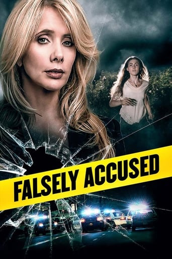 Poster of Falsely Accused