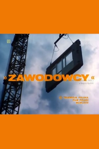 Poster of Zawodowcy