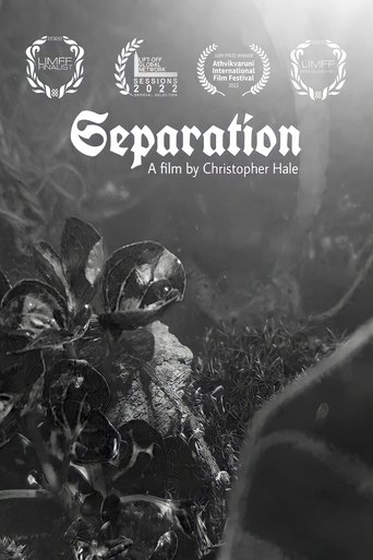 Separation Poster of Separation