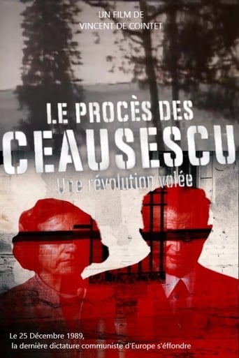 Poster of The Ceausescu Trial: A Stolen Revolution