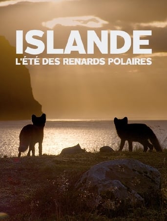 Poster of Islande, l’été Des Renards Polaires