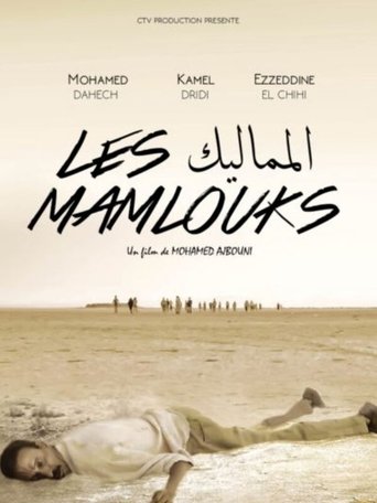 Poster of The Mamluks