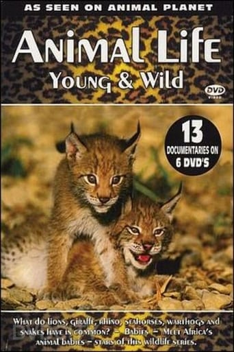 Poster of Animal Life: Young & Wild