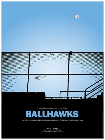 Poster of Ballhawks