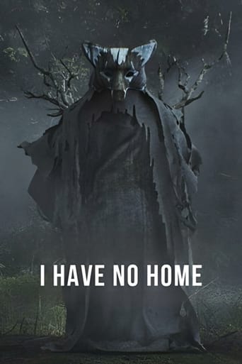 Poster of I Have No Home