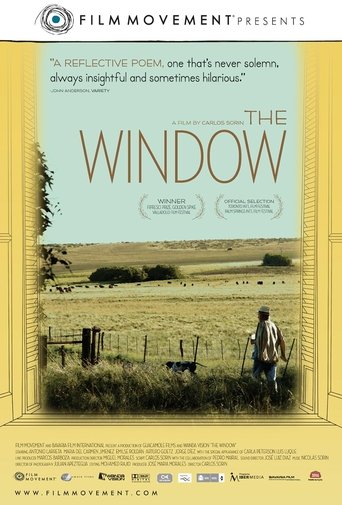 Poster of The Window