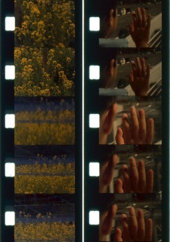 Poster of In Between Solstices (II/II)