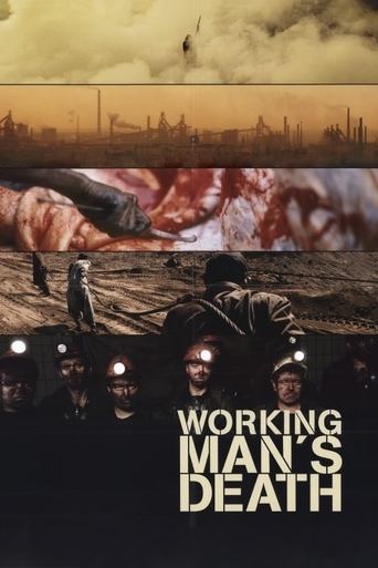 Poster of Workingman's Death