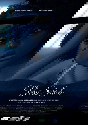Poster of The Sink