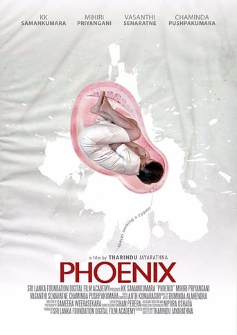 Poster of Phoenix