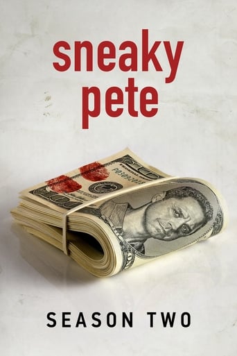 Portrait for Sneaky Pete - Season 2