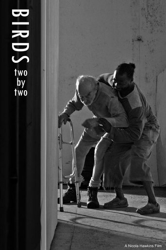 Birds Two by Two Poster of Birds Two by Two