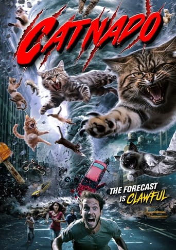 Poster of Catnado