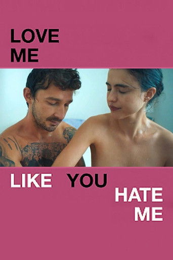 Poster of Love Me Like You Hate Me