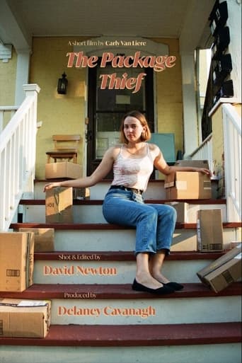 Poster of The Package Thief