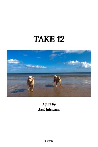 Poster of Take 12