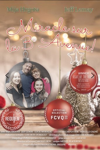 Poster of Miracle on 3rd Avenue!