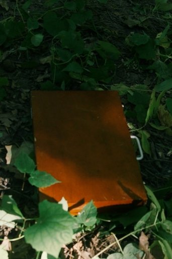 Poster of Tradeoff