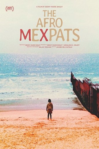 Poster of The Afro Mexpats