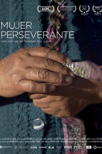 Poster of Mujer perseverante