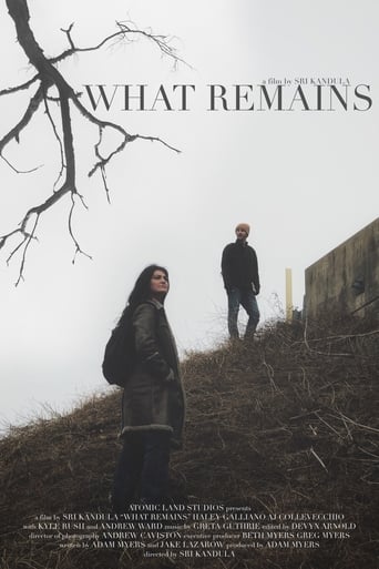 Poster of What Remains