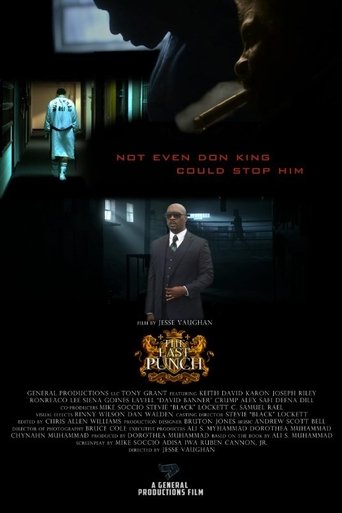 Poster of The Last Punch