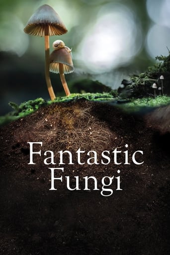 Poster of Fantastic Fungi