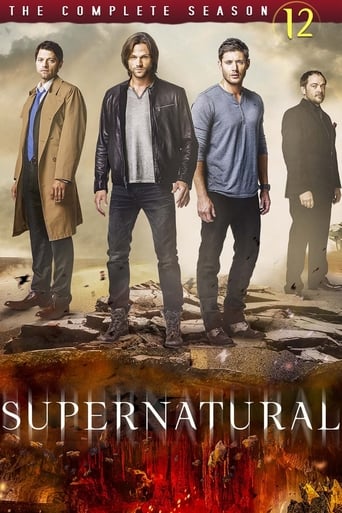 Portrait for Supernatural - Season 12