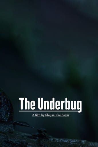 Poster of The Underbug