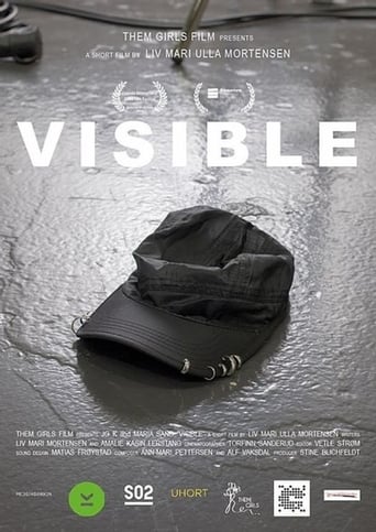 Poster of Visible