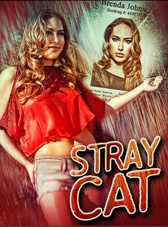 Poster of Stray Cat