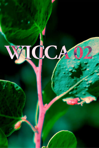 Poster of WICCA_02