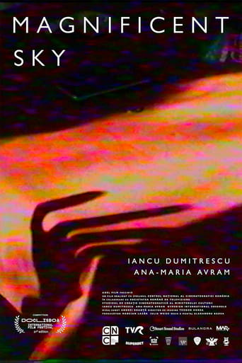 Poster of Magnificent Sky