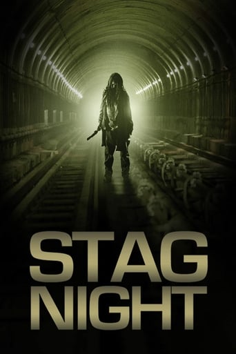 Poster of Stag Night