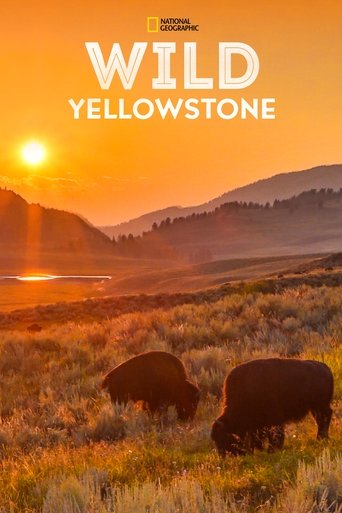 Portrait for Wild Yellowstone - Miniseries