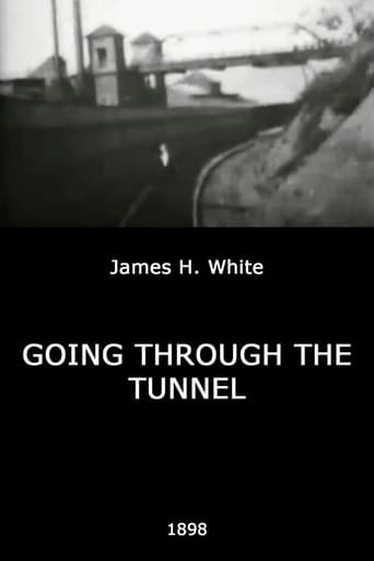 Poster of Going Through the Tunnel