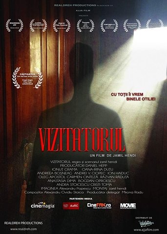 Poster of The Visitor