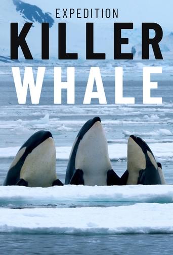 Poster of Expedition Killer Whale