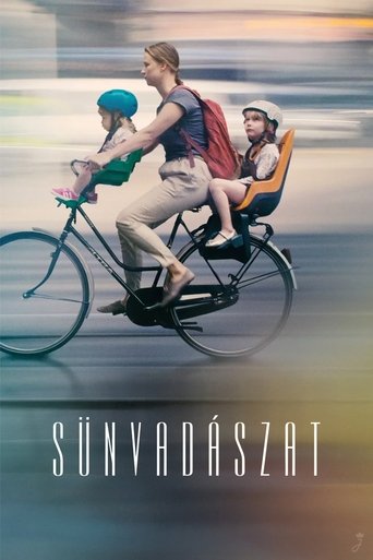Poster of Sünvadászat