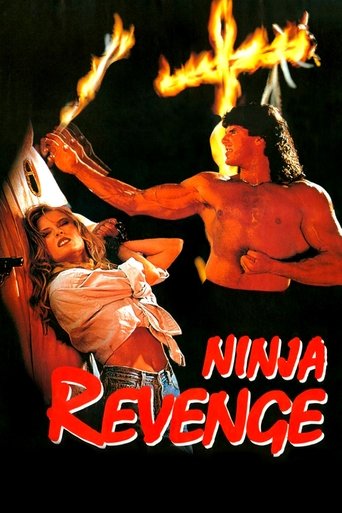 Poster of Ninja Vengeance