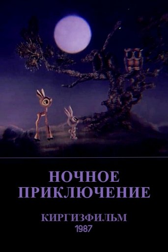 Poster of The Nighttime Adventure
